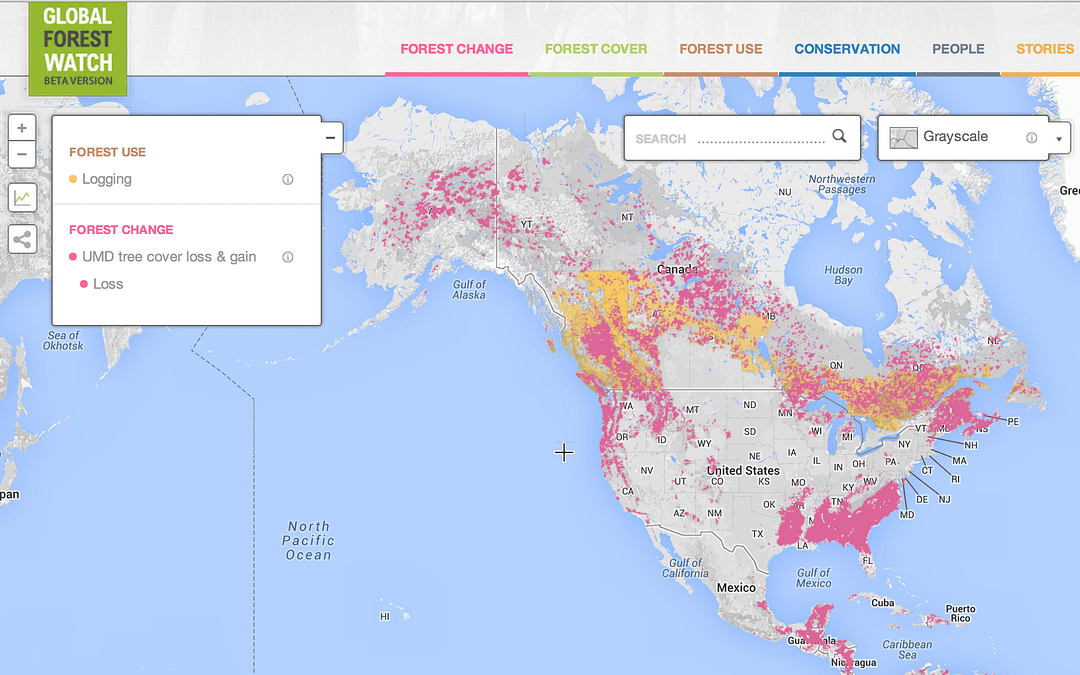 View an interactive deforestation map
